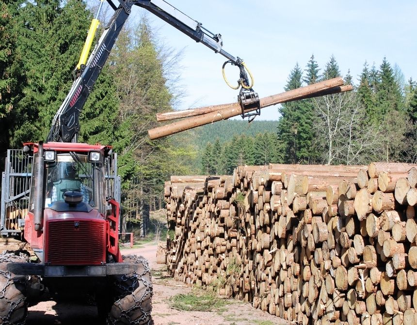 Safety Systems For Forestry