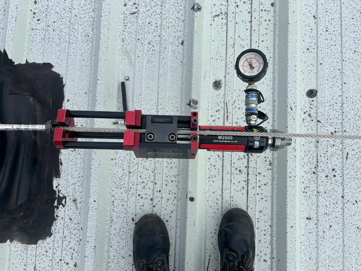 Lifeline system testing