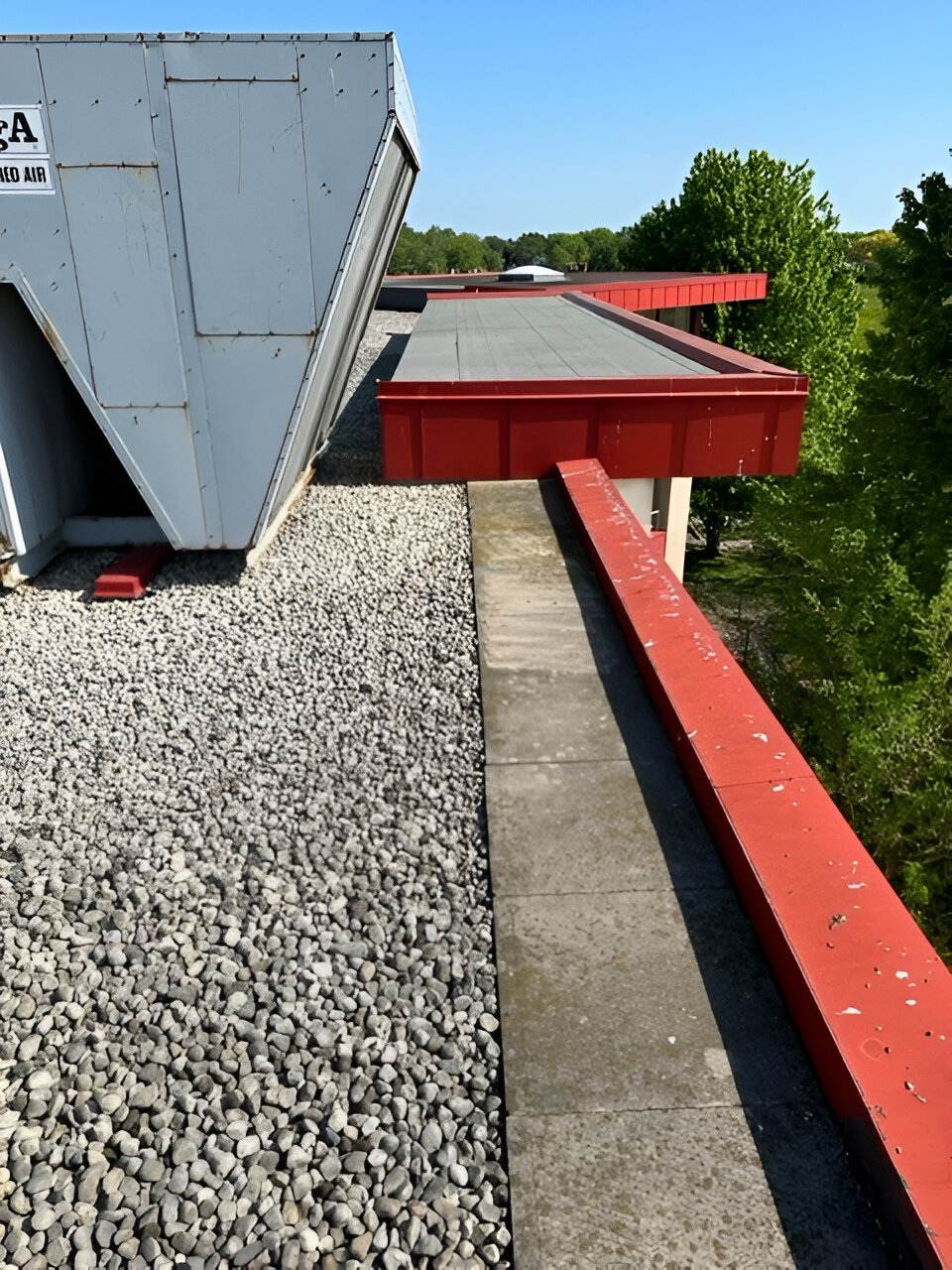 Pixelcut Export Pic 2 Medium