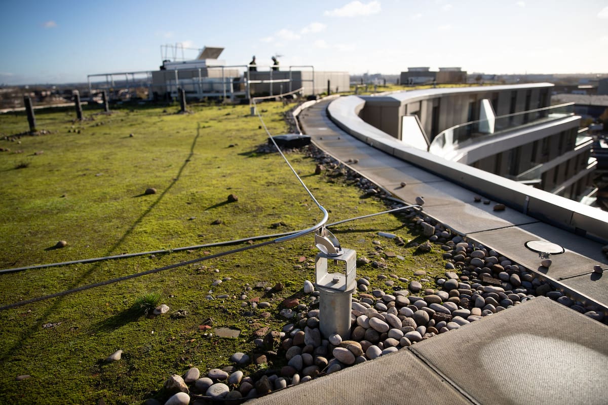 KS KLI 3525 Medium (1)