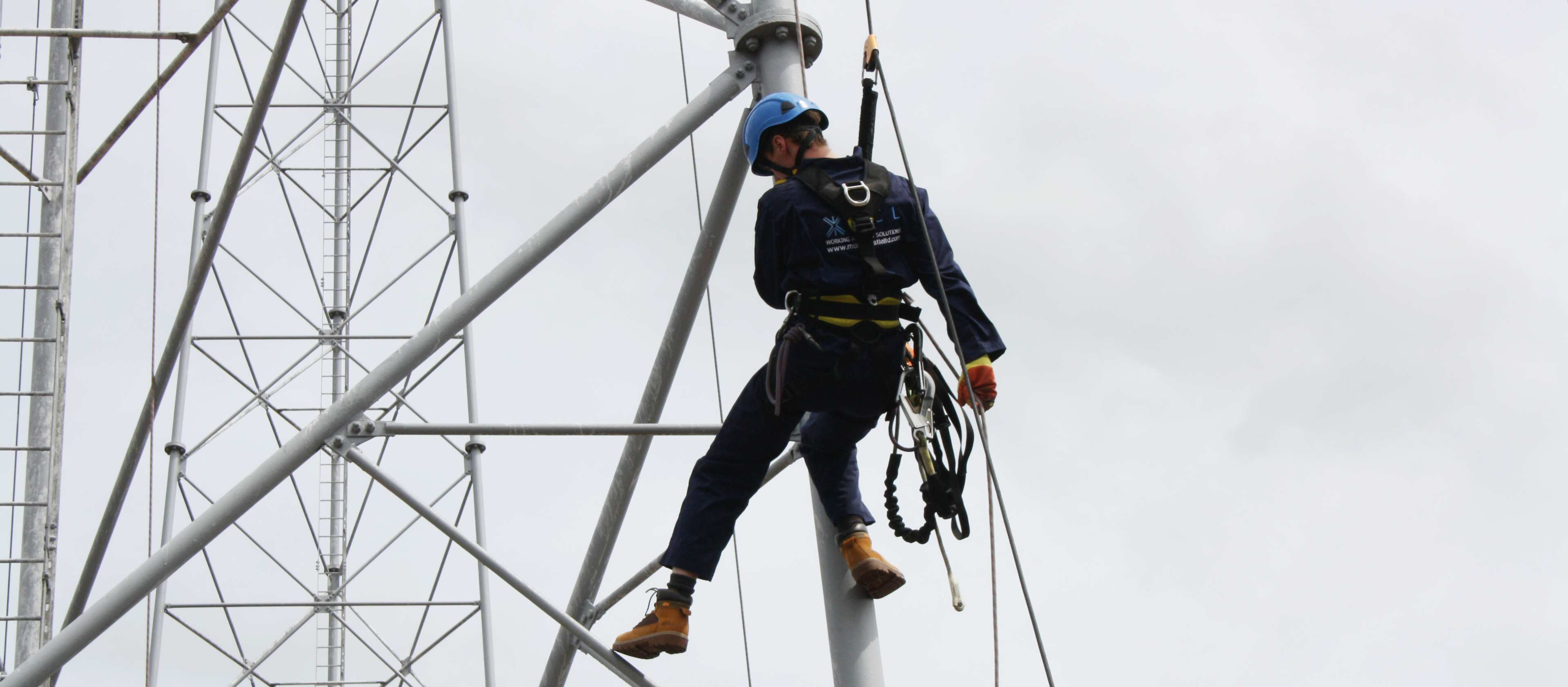 IMG 5342 Medium Cropped