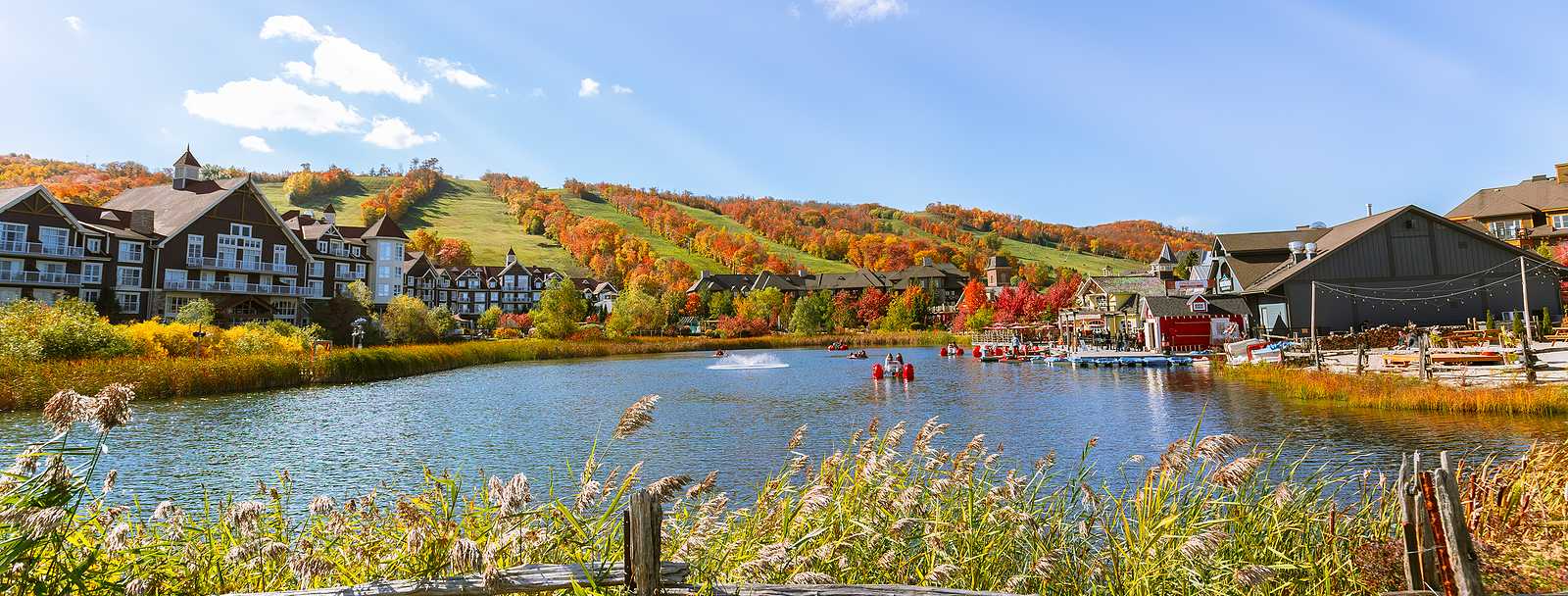 Bigstock Collingwood Area Blue Mountain 433879574 Cropped