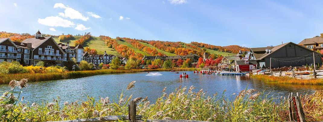 Bigstock Collingwood Area Blue Mountain 433879574 Cropped