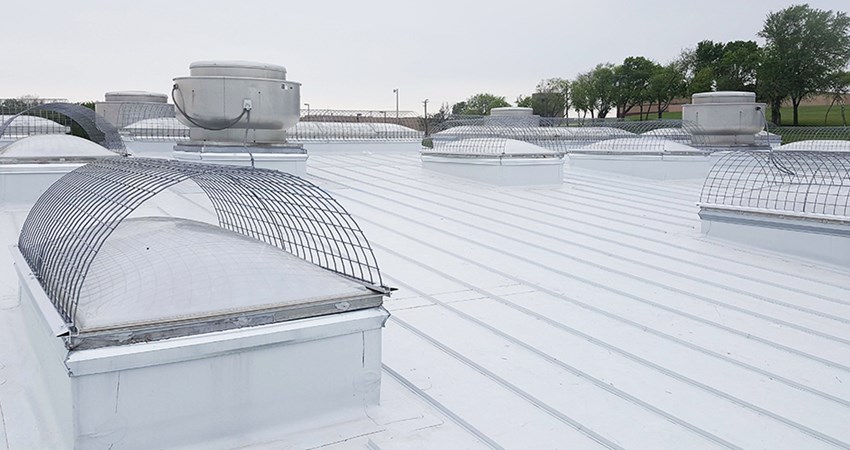 Rooftop with multiple skylights with fall protection screens
