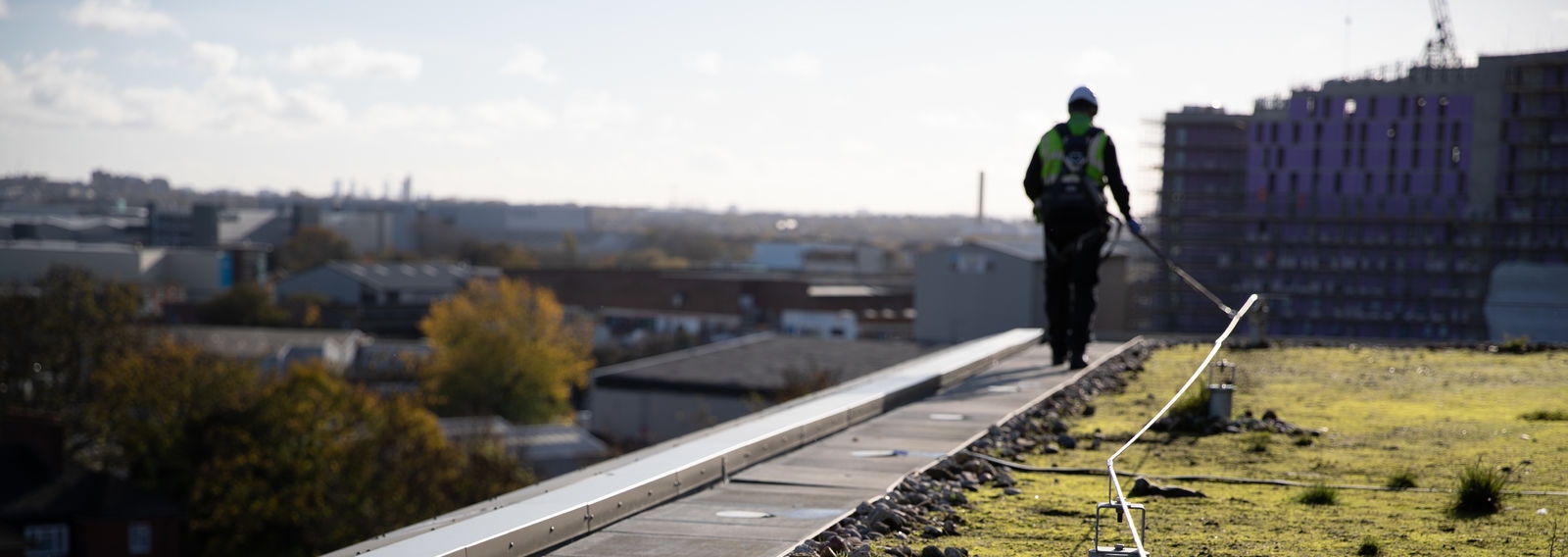 KS KLI 3577 Medium Cropped