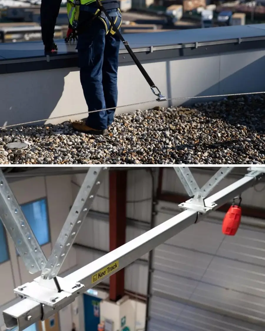 Inventions Tree Fall Protection Best Practices for Forestry Fall Protection: Keeping Canadian Workers ...