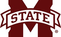 MS Logo