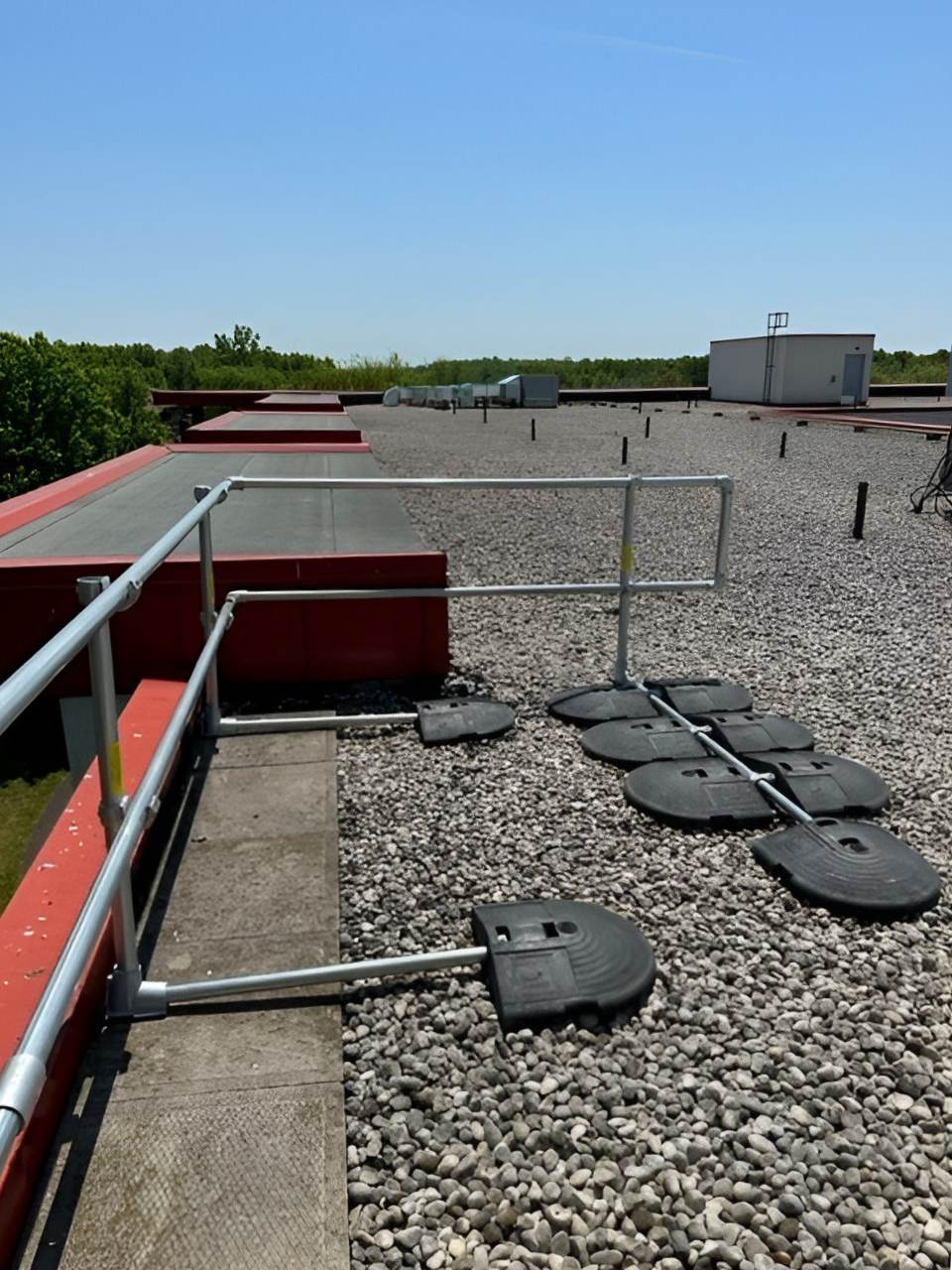 Pixelcut Export Pic 5 R M