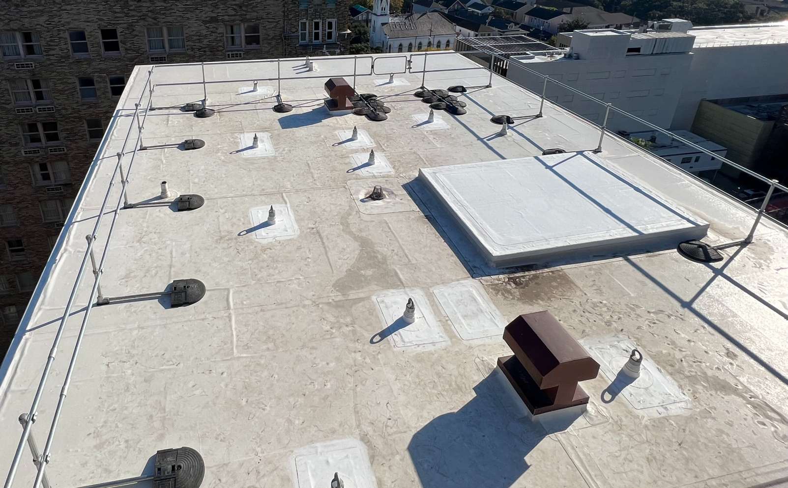 IMG 8465 Small And Cropped 2