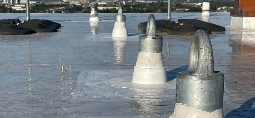 IMG 9612 Small Cropped