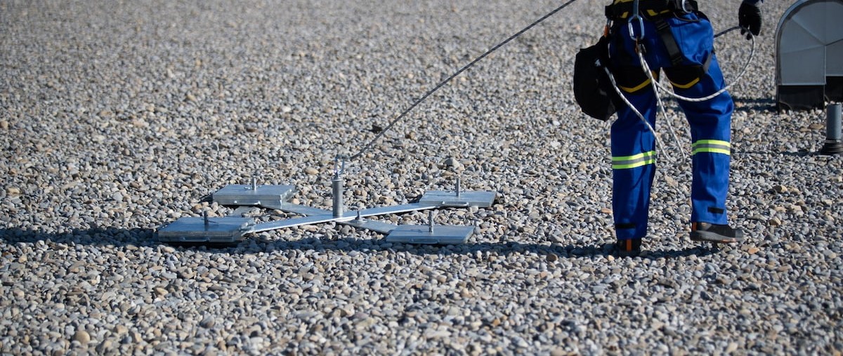 KS KAN 9059 Medium Crop (1) (1)